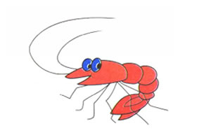 虾的儿童卡通画