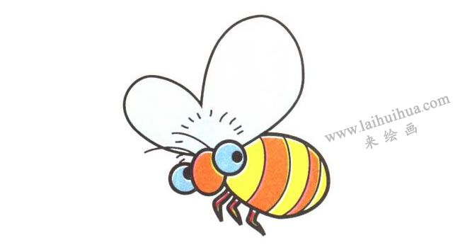 蜜蜂儿童卡通画法步骤04