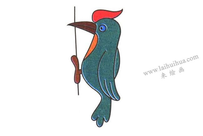 啄木鸟的头部羽毛，啄木鸟儿童卡通画法步骤03
