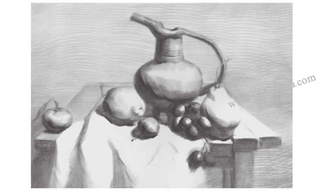 器皿与水果组合素描画法步骤04