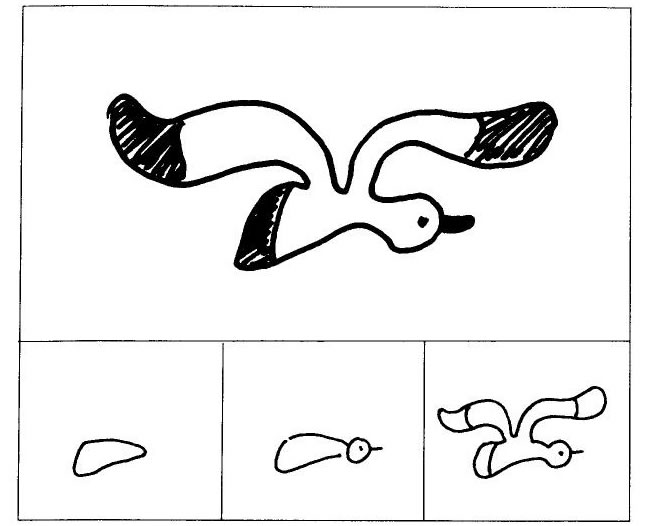 海鸥儿童画法（二）