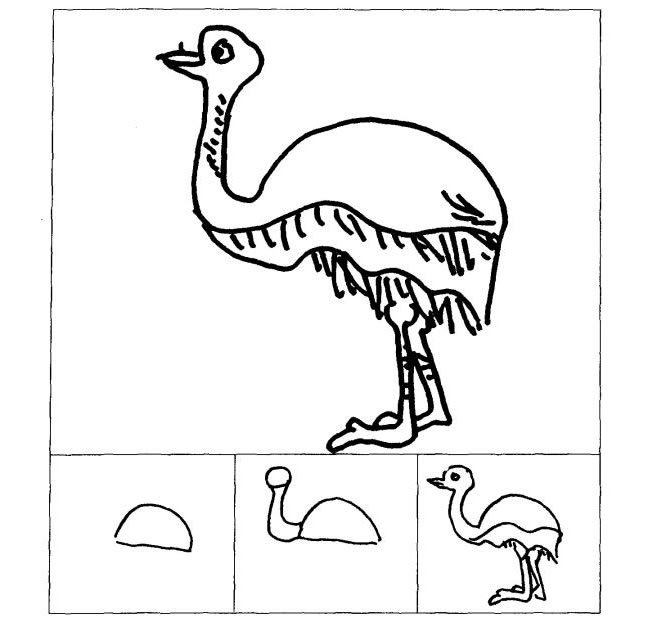 鸵鸟儿童画法（二）
