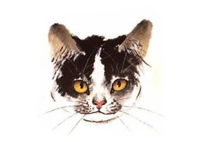 水墨画猫头部画法过程之三