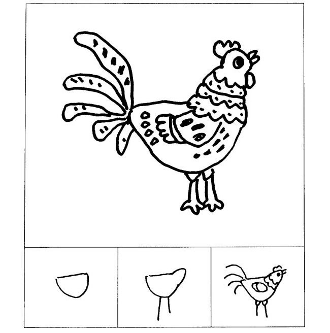 公鸡儿童画法（二）