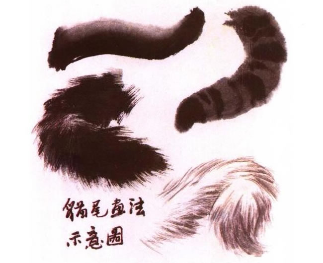 猫尾巴的水墨画法