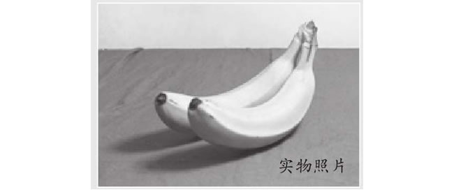 香蕉素描画法（二）