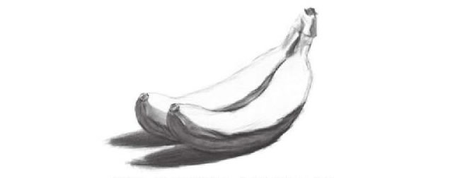 静物香蕉素描作画步骤03