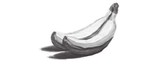 静物香蕉素描