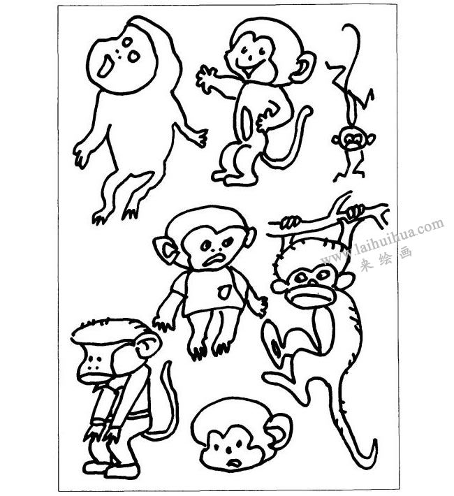 猴子儿童画