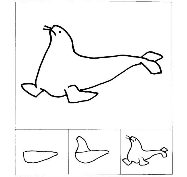 海狮的儿童画法