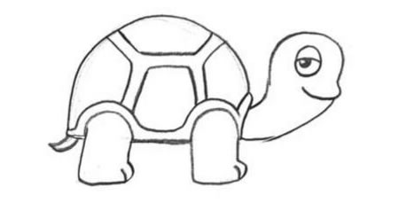 乌龟的画法步骤02