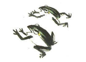 青蛙儿童水墨画法