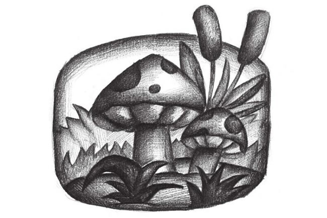 蘑菇创意素描画法