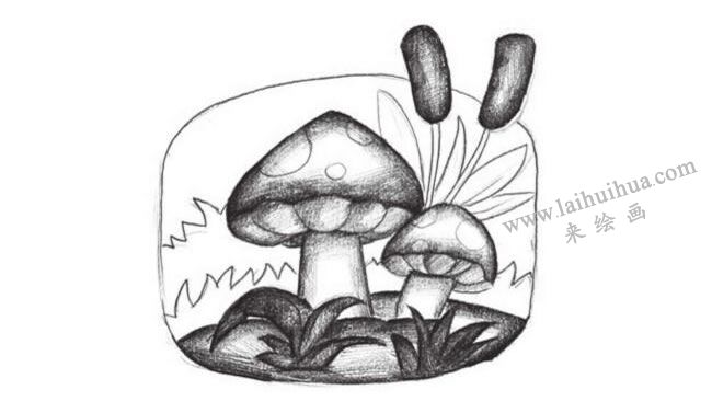蘑菇创意素描画法步骤03