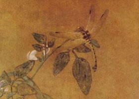《豆花蜻蜓图》