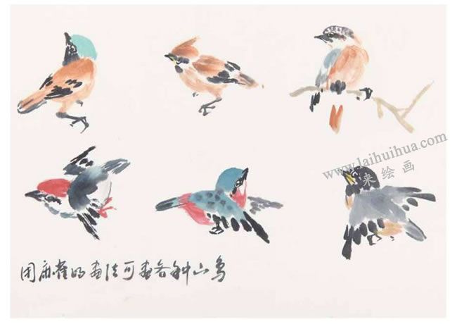用麻雀的画法可画各种山鸟