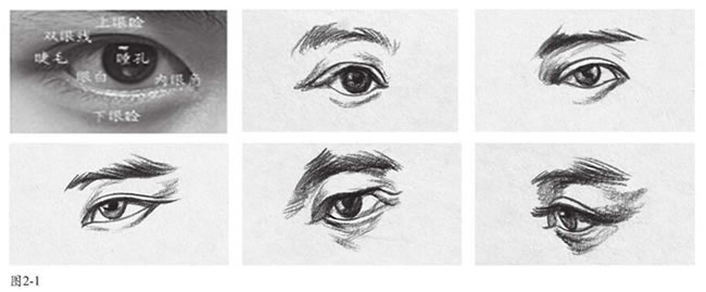人物速写眼睛的表现方法