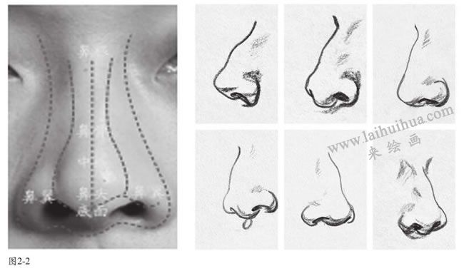 人物速写鼻子的表现方法
