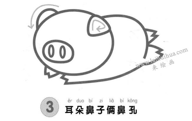 小猪儿童画法步骤图示03