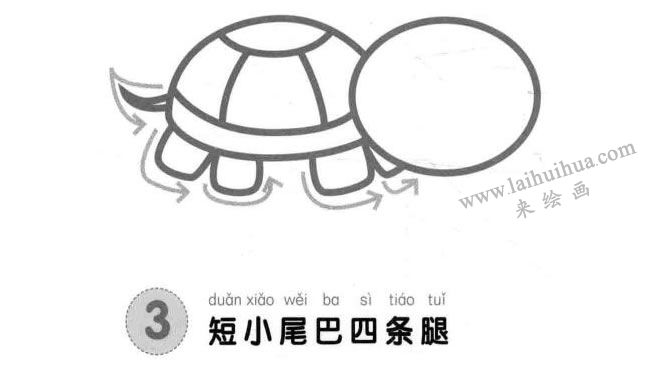 乌龟儿童画法步骤图解03
