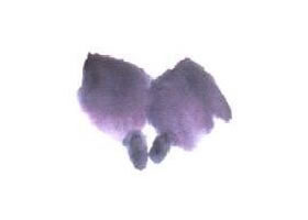紫色紫藤花的画法