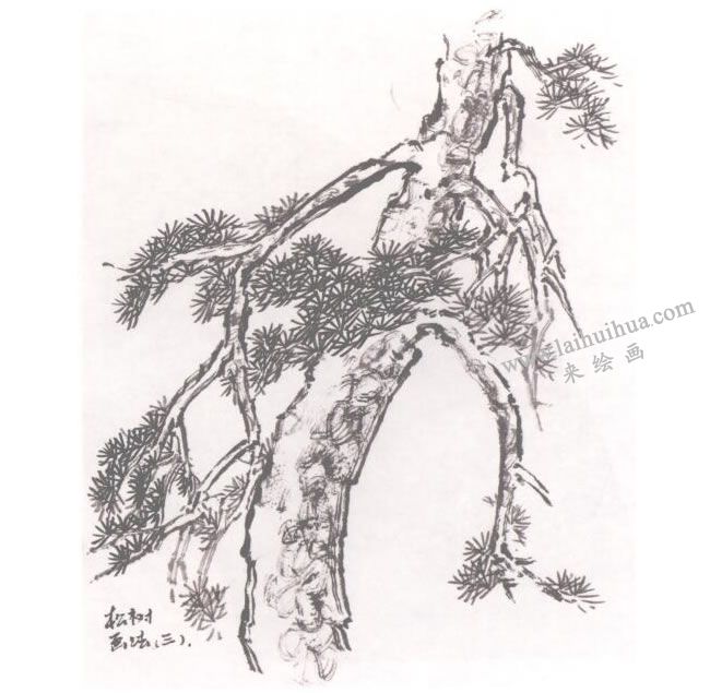 中国画松树的画法步骤03