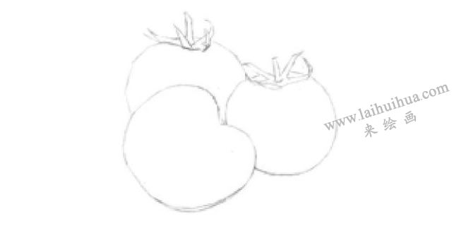 番茄的素描画法步骤01