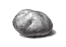 土豆素描画法（二）