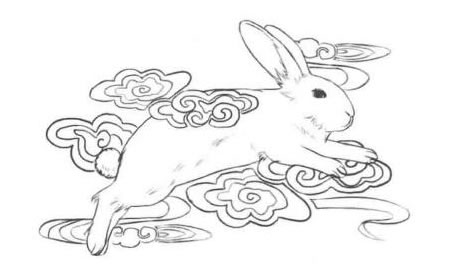 玉兔奔月卡通素描画法绘制步骤03