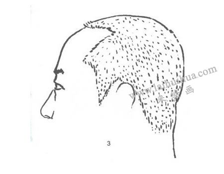 人物头像侧面线描写生画法步骤03