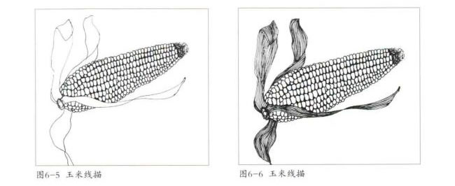 玉米线描画法步骤03