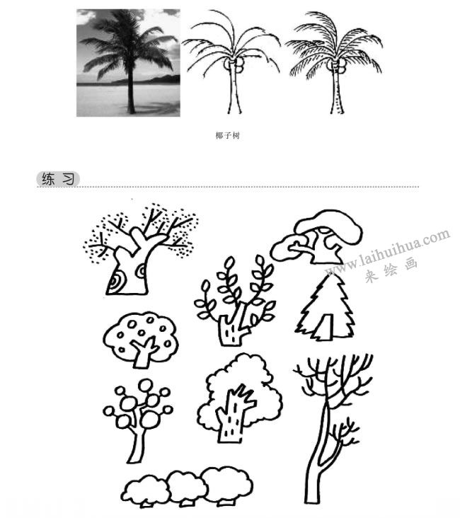 树木的作用简笔画图片