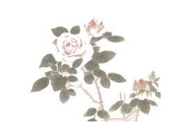 花卉淡彩技法图例