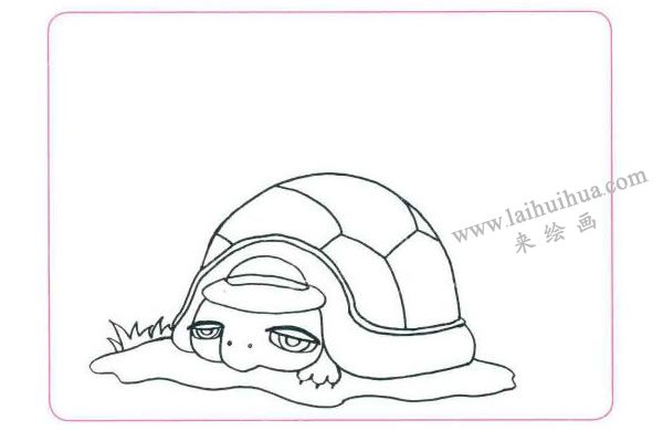 晒太阳的懒乌龟儿童线描画法步骤图示01