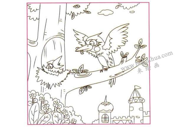 啄木鸟儿童线描画法步骤02