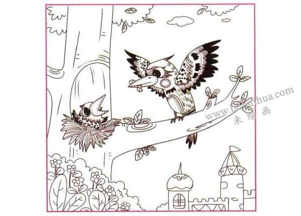 啄木鸟儿童线描画法步骤03