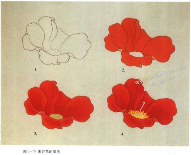 朱砂花的染法：以红山茶花为例