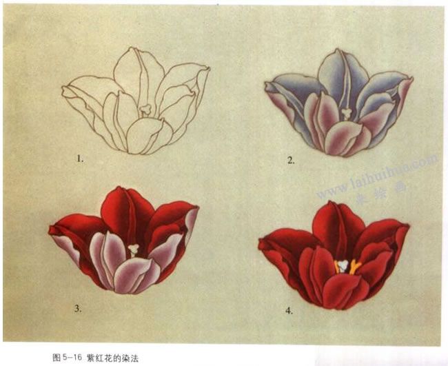 紫红色花的染法：以郁金香花为例