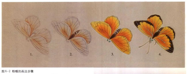 工笔粉蝶的画法步骤