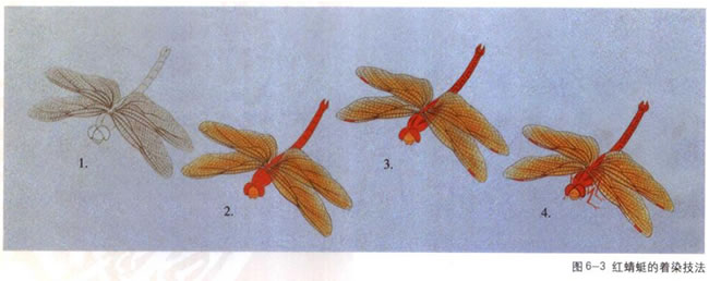 工笔红色蜻蜓的着染技法
