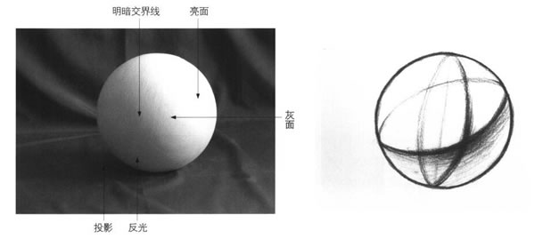 圆球体素描结构的画法图示