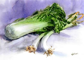 白菜与大葱水彩画法