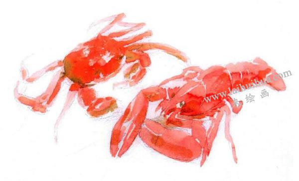 龙虾和螃蟹水彩画法步骤图示02