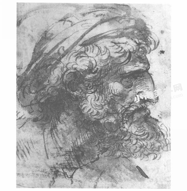 达芬奇《有胡须男人的头像习作》经典素描高清大图