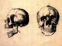 泰奥多尔•籍里柯《头骨的解剖素描习作》作品欣赏