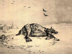 泰奥多尔•籍里柯《死亡的马》素描作品欣赏