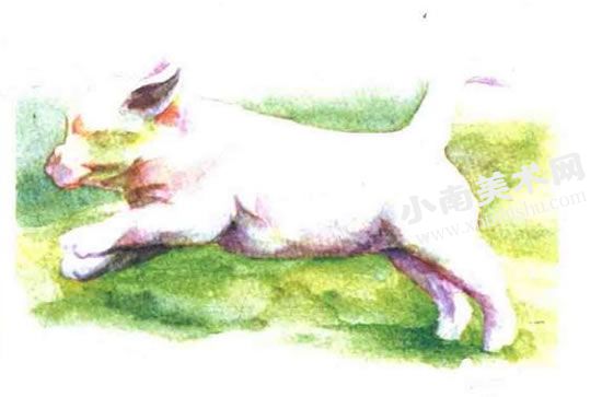 奔跑的小狗水彩画绘制步骤图示06