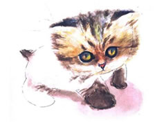 可爱的小猫咪水彩画绘制步骤图示