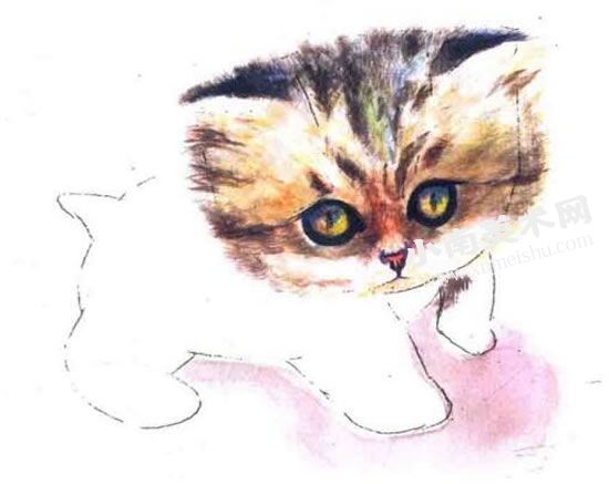 可爱的小猫咪水彩画绘制步骤图示07