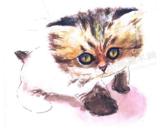 可爱的小猫咪水彩画绘制步骤图示08